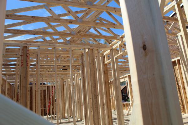 17030452141181954882010068259775346146407524n